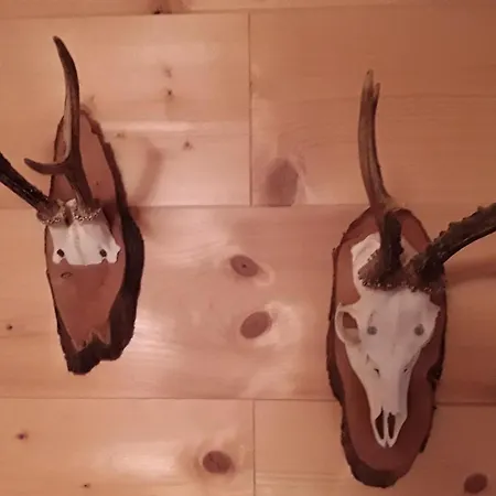 Vakantiehuis Sieglinde In Klippitztoerl *